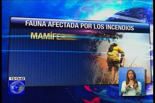 Verano en Quito acaba con varias héctareas de vegetación