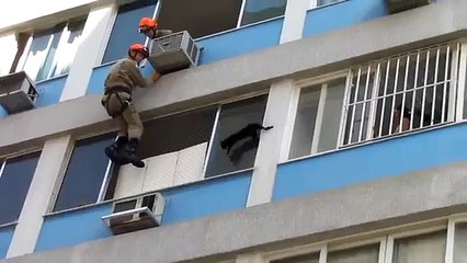 Spider-Cat: Rescuers Attempt To Save A Cat Clinging To a High Rise Building!