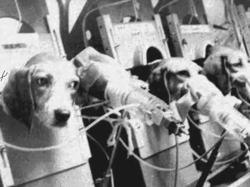 Juniper Hill - A4/ Kleine Biester (Lang)