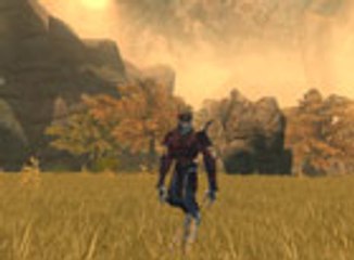 The Chronicles of Spellborn