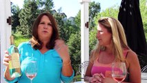 Wine Tasting 101:  Summer Wines