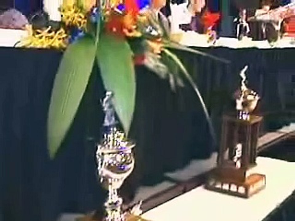 Sidney Crosby - Named 2004-2005 CHL player of the Year