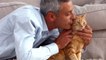 Cats don't need their owners, according to science