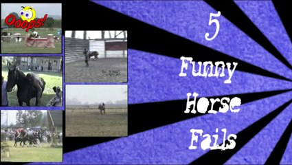 Funny Animals   Funniest HORSE Riding Falls