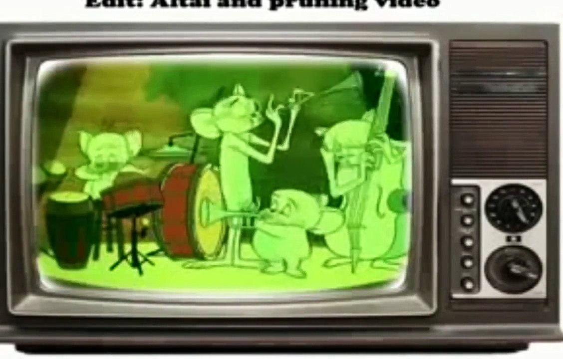 la casa de tom y jerry en español    Pelicula de Caricaturas  tom y jerry