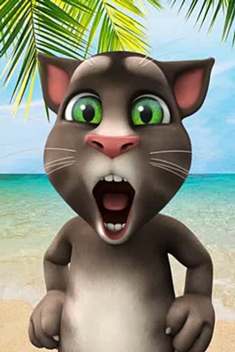Tom le chat qui prl