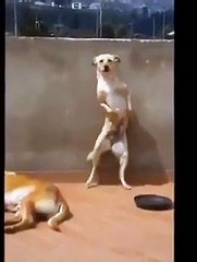 Como eu fico quando lembro que segunda e feriado.!!!!!!