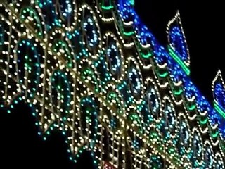 festa della Madonna (1parte) Genzano di Lucania