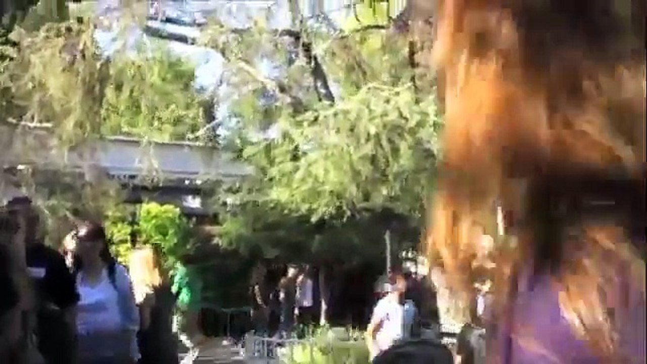 Disneyland's Matterhorn (Left Side) November 2010