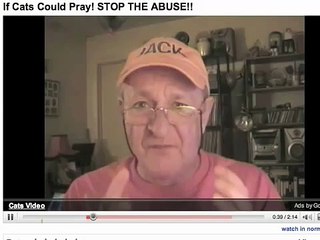 Help Zipster Stop Animal Abuse. UPDATE: "Timmy" the Cat Abuser CAUGHT