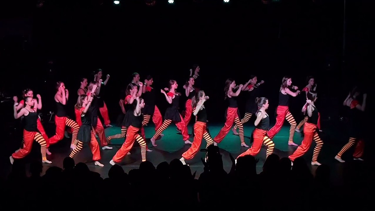 Spectacle 2015 - Compilation