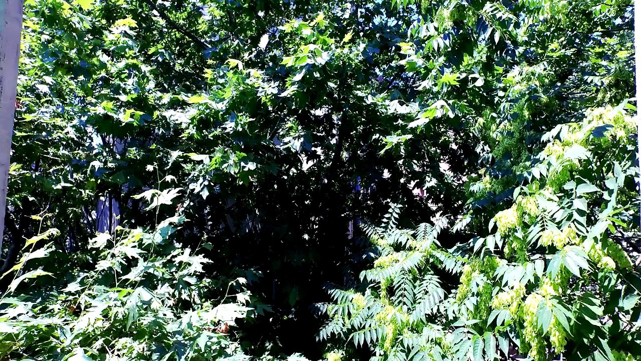 Oben Budak Discoben  Hayat Original Mix