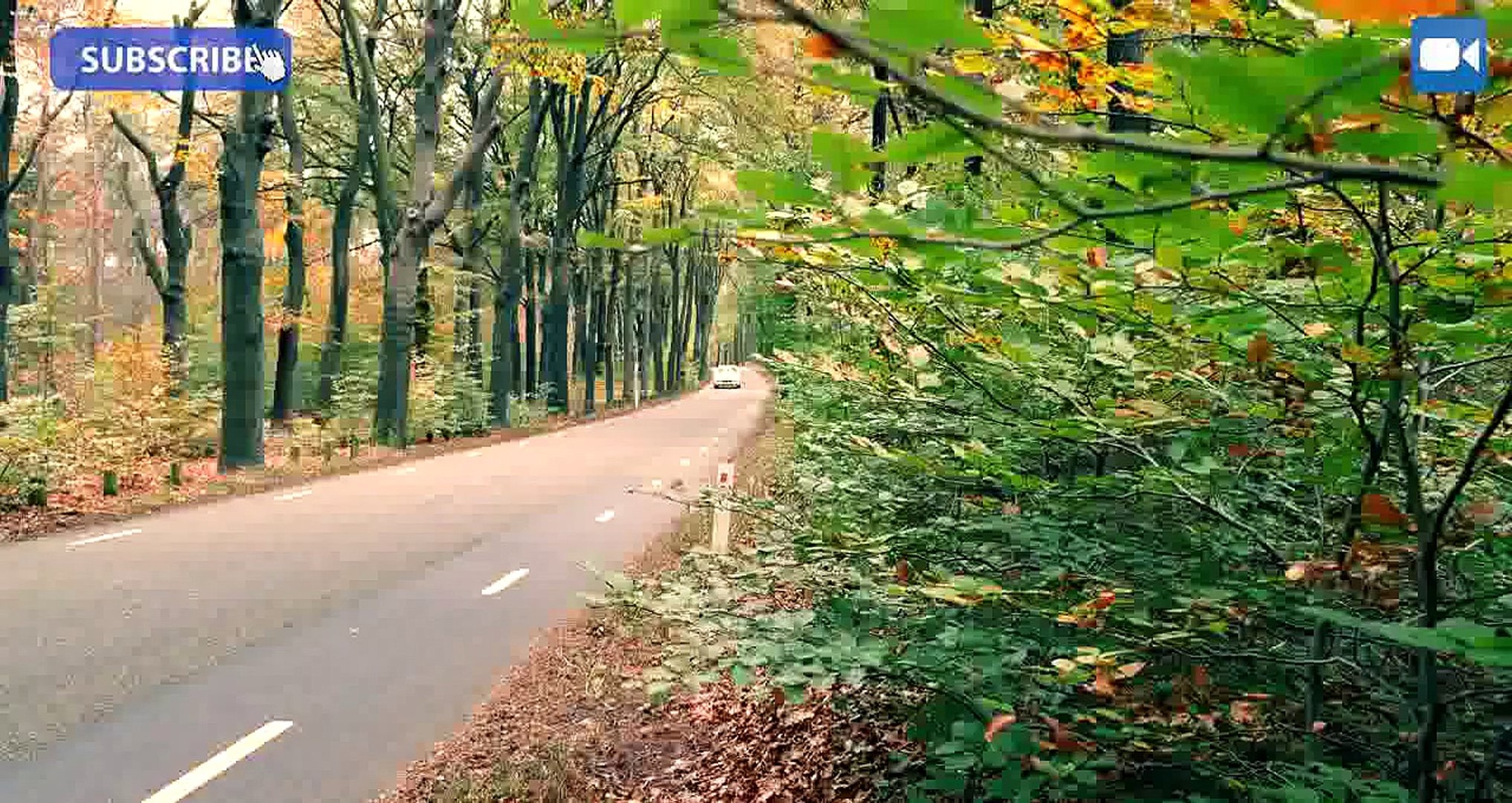 VW Touareg V10 TDI R50 Review [4K] | Diesel Dinosaur (English Subtitles)