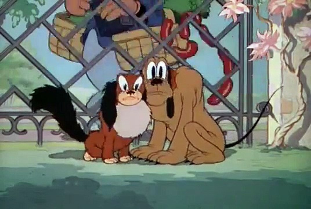 [ Pluto's Quin puplets 1937 ]  - Pluto cartoon episodes