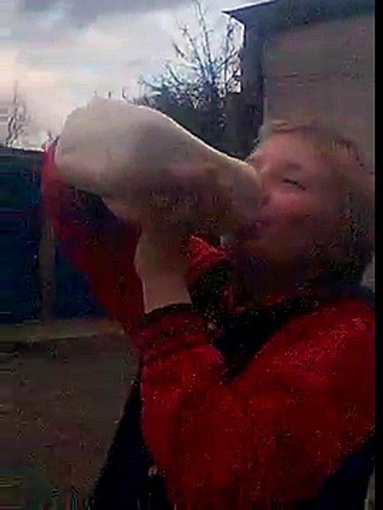 Milk Challenge part 1