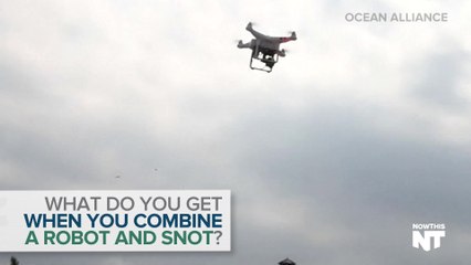 Snot-Filled Robots Are Saving The Whales