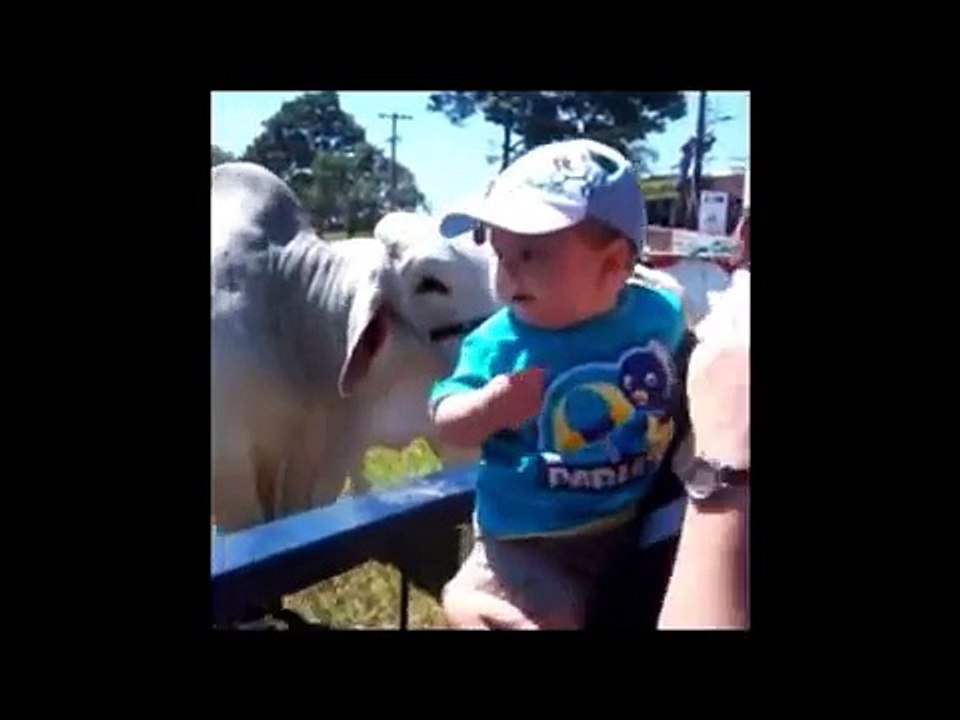 Indian Funny Videos Compilation 2015 | Indian Whatsapp Videos| Video de risa para whatsapp #14