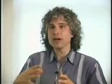 Steven Pinker interviewed by Robert Wright