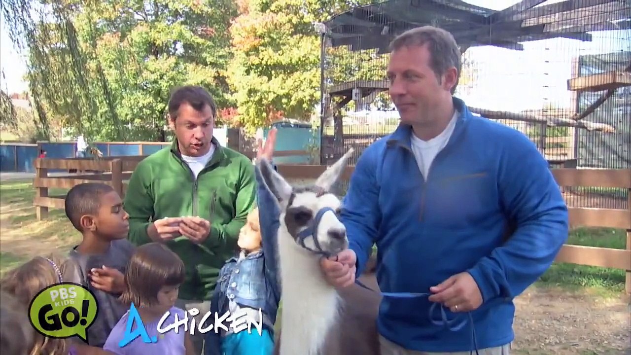 Wild Kratts | Llama | PBS KIDS GO!