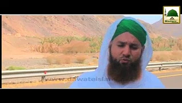 Wadi E Hamra Aur Peer Mehr E Ali Shah - Madni Channel - Short Clips