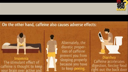 ★★COFFEE COFFEE★★ 10 Things You Should Know About Coffee