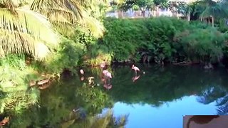 Repubblica Dominicana - Viva Dominicus Beach