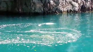 Mysterious underwater vortex filmed in Thai lake