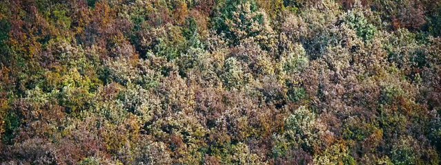 The Duke of Burgundy, de Peter Strickland: film annonce [Full Episode]