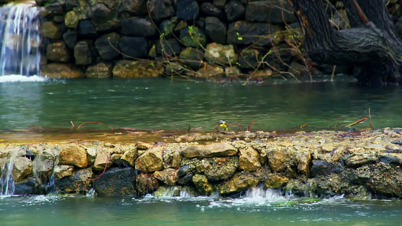Waterfalls 5
