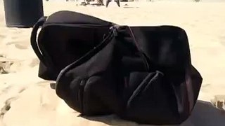 Rare Hermit Crab on the Beach [ORIGINAL]
