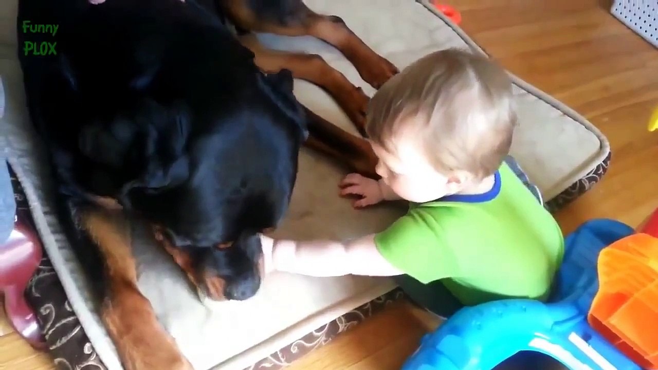 Best Rottweiler and Baby Video Compilation 2014 NEW HD | animals videos and funny