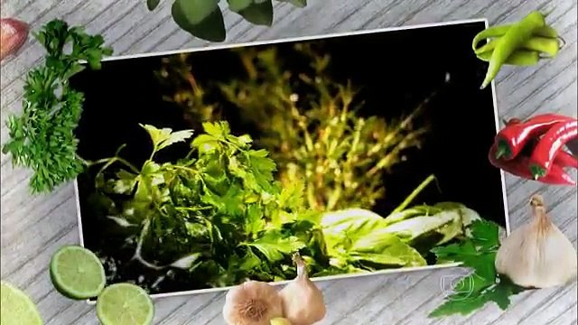 Globo Repórter 2/3 - 0409