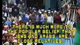 Anti-Semitic Jews or Voices of Truth - Is Israel Setup for Destruction 5