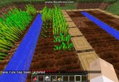 Minecraft vanilla part 1 : Villagers don't need houses!