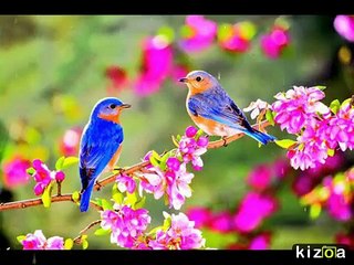 SABAHA KADAR-BÜLENT ERSOY