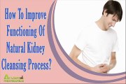 How To Improve Functioning Of Natural Kidney Cleansing Process?