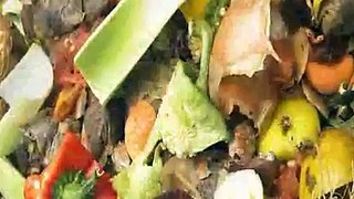 How to recycle food waste