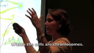 Cells, Genes and DNA