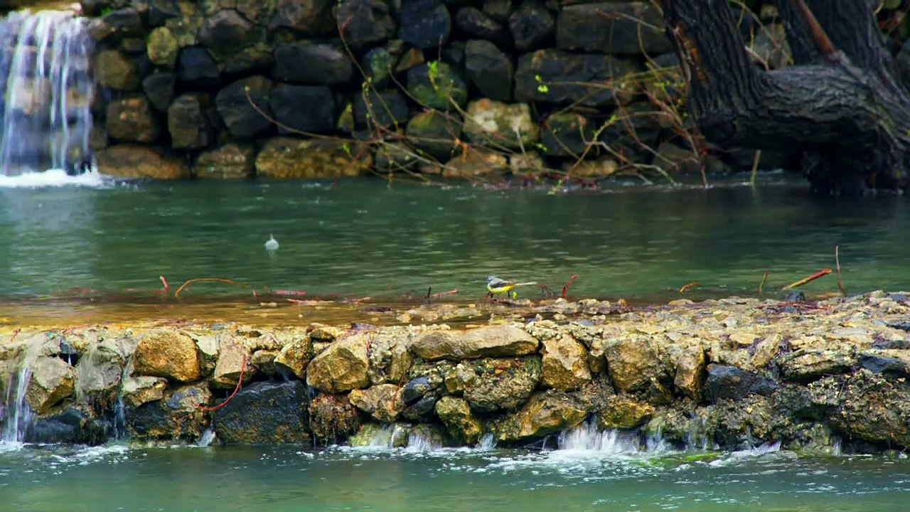 Waterfalls 6