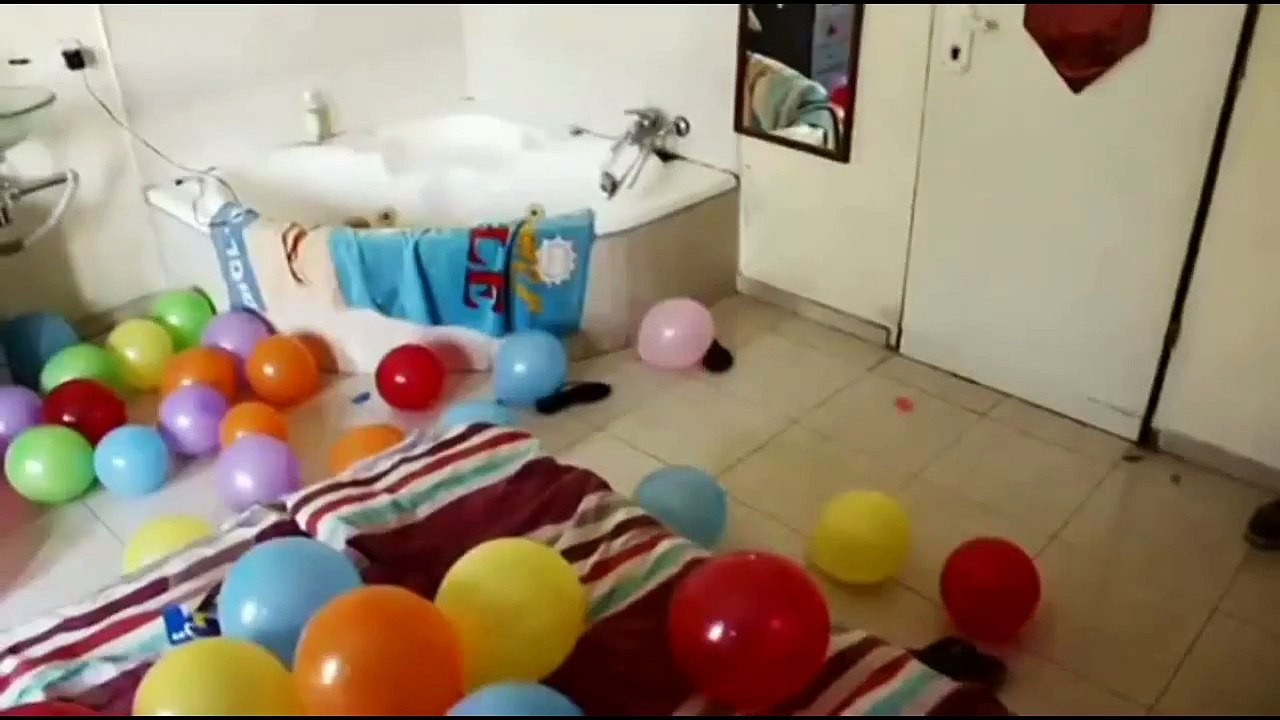 Funny dog videos #2
