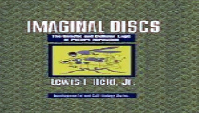 Download Imaginal Discs The Genetic and Cellular Logic of Pattern Formation Developmental and Cell Biology Series Pdf