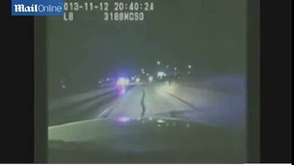 Officers near Texas help capture a runaway pet kangaroo