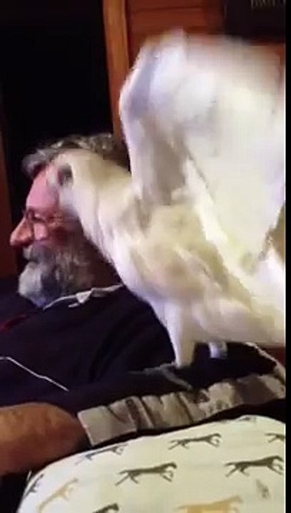 Eric is a naughty boy