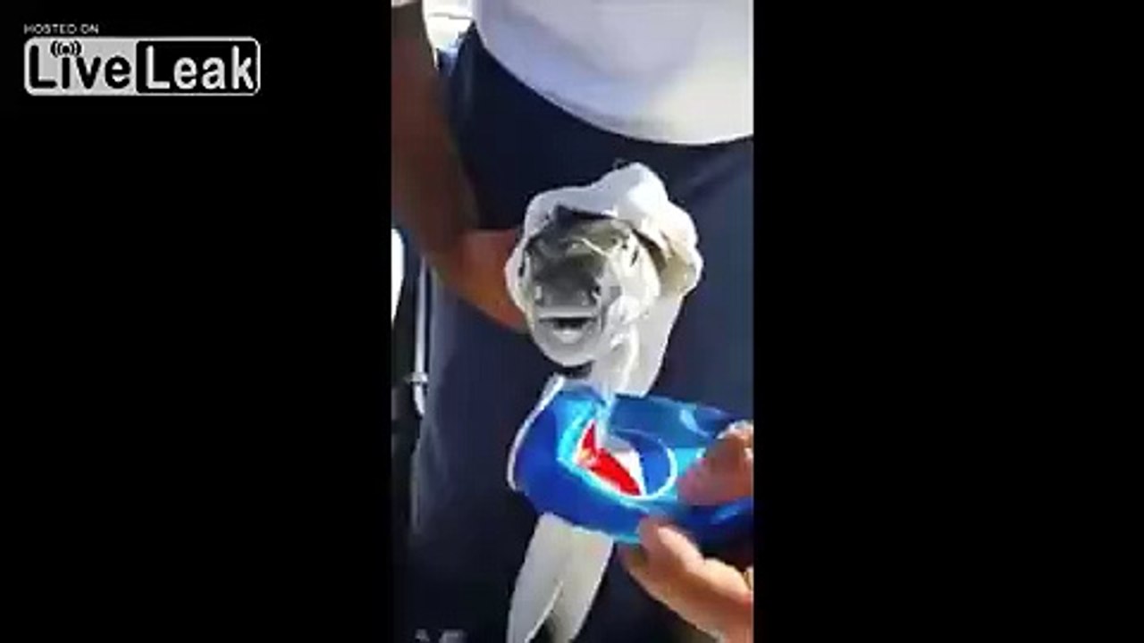 This Fish Packs One Hell of a Bite