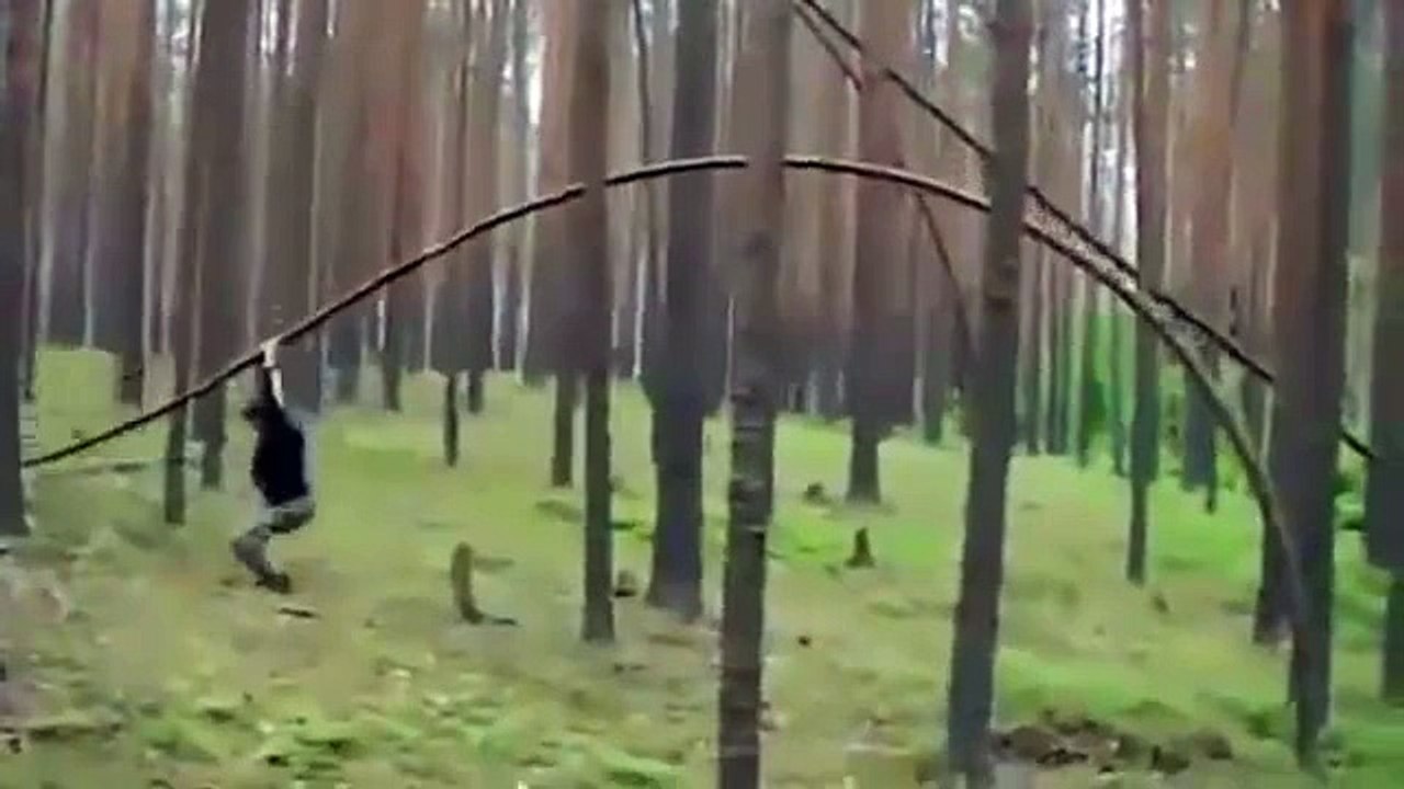 Top attractions of the world