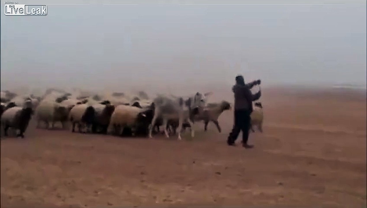 Abu Hassan and his Desert Army