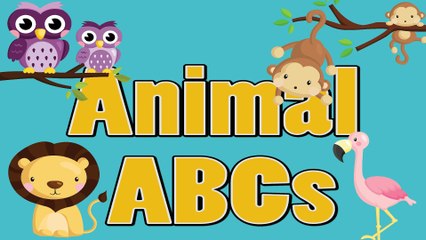 Animal Letters - Learn the ABCs