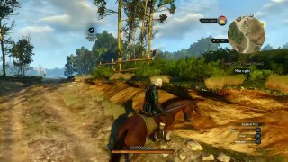 The Witcher 3: Wild Hunt  - Caçando o Grifo