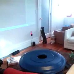 A Kitten Trained to Open Doors