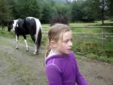 Horse farts and scares itself